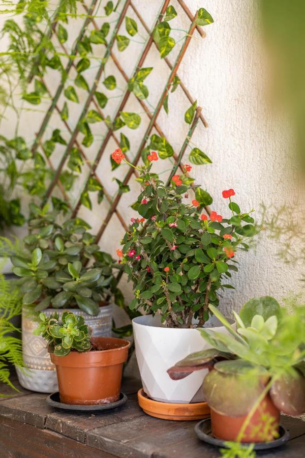 Seaview Harmony Apartment Larnaca Exterior foto